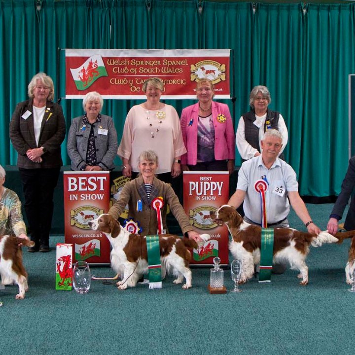 BEST IN SHOW LINEUP